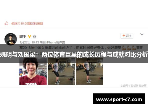 姚明与刘国梁：两位体育巨星的成长历程与成就对比分析