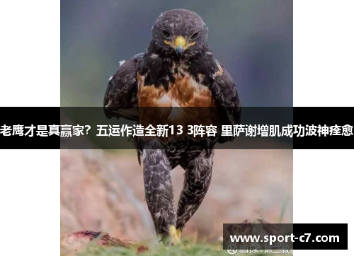 老鹰才是真赢家？五运作造全新13 3阵容 里萨谢增肌成功波神痊愈
