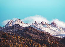 c7娱乐分部-辽篮期待新外援挑起大梁